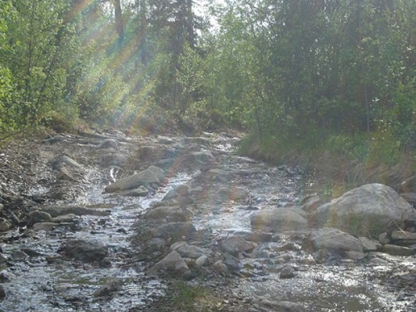 DSC03637 новая.jpg