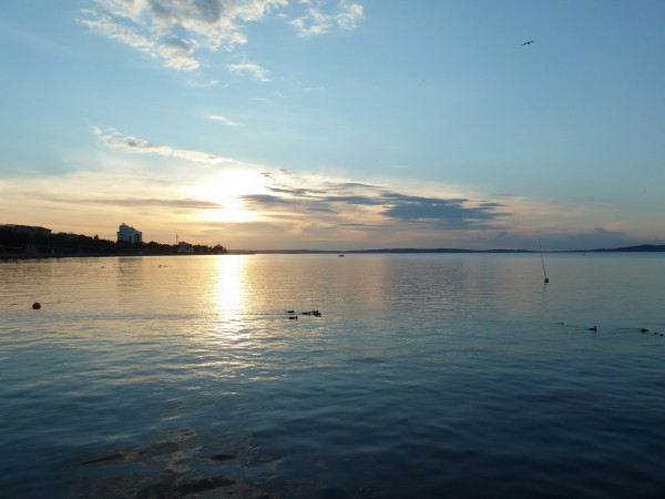 P1050647.JPG