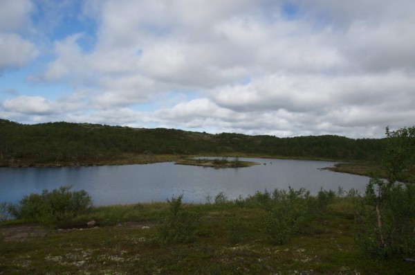 DSC_0914_новый размер.jpg