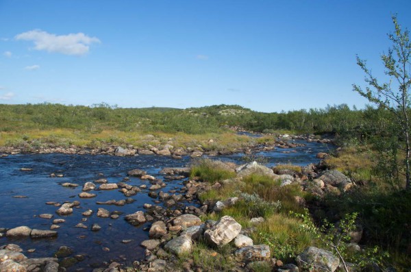 DSC_0924_новый размер.jpg