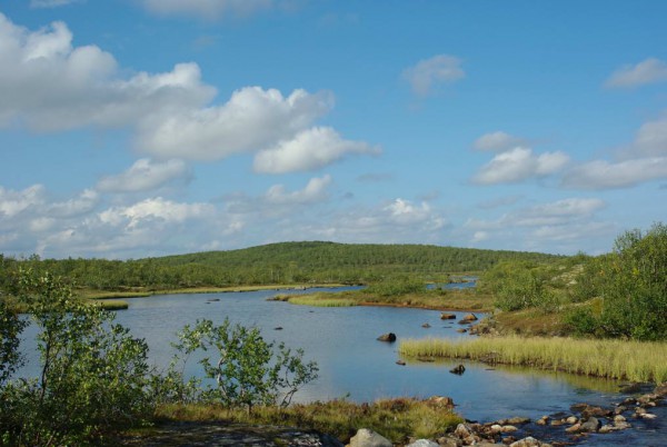 IMGP8881_новый размер.JPG