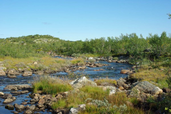 IMGP8882_новый размер.JPG