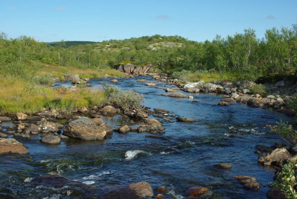 IMGP8884_новый размер.JPG