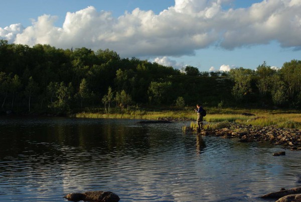 IMGP8887_новый размер.JPG