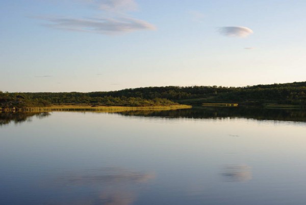 IMGP8894_новый размер.JPG