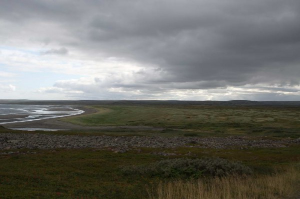 DSC_1131_новый размер.jpg