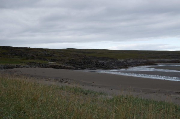 DSC_1135_новый размер.jpg