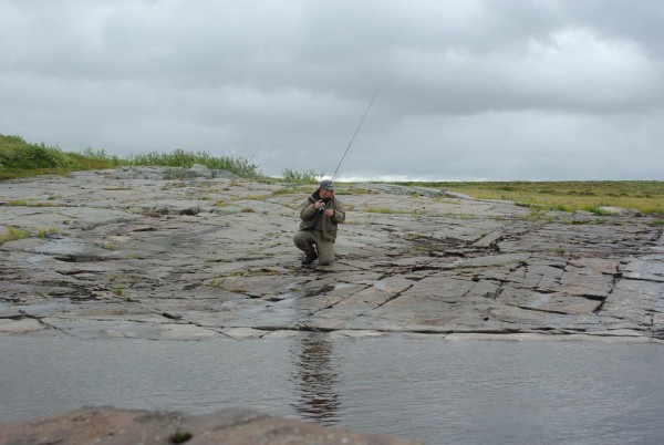 IMGP9027_новый размер.JPG