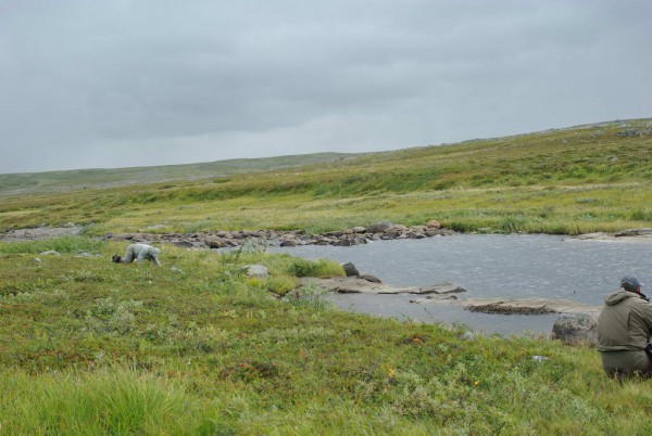 IMGP9032_новый размер.JPG