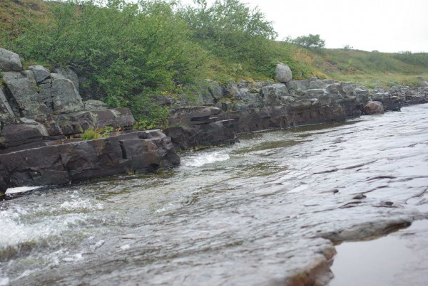 IMGP9037_новый размер.JPG