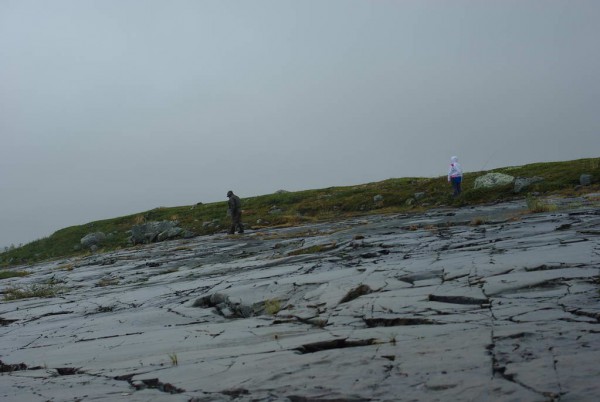 IMGP9038_новый размер.JPG