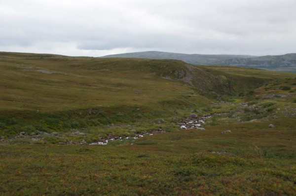 DSC_1211_новый размер.jpg