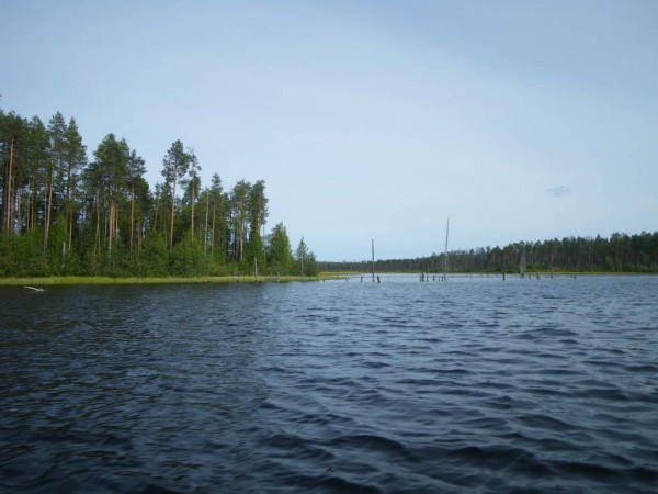 IMGP0130_новый размер.JPG
