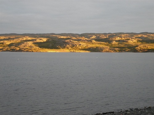 59.JPG