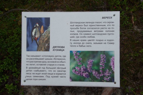 Лабиринт Вавилон 007.jpg