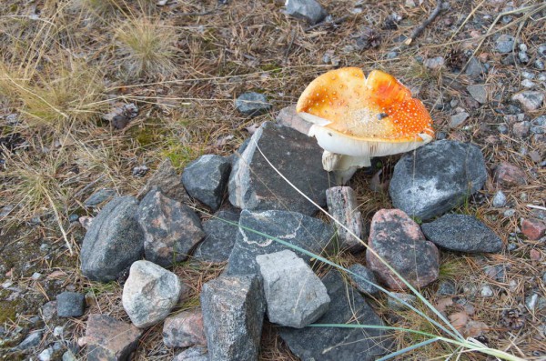 Лабиринт Вавилон 018.jpg