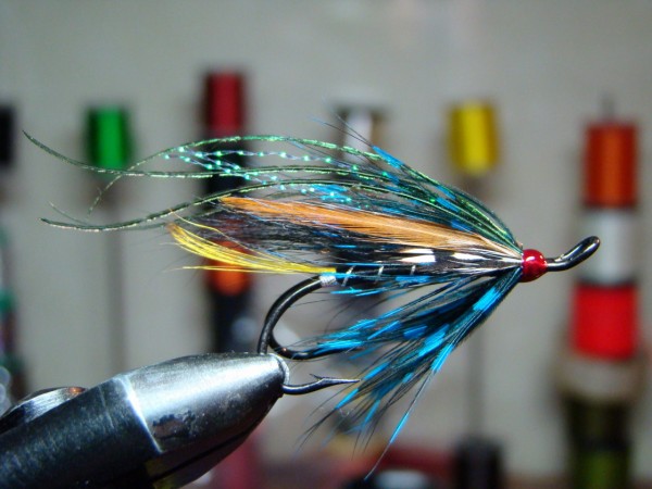 DSC09137.jpg