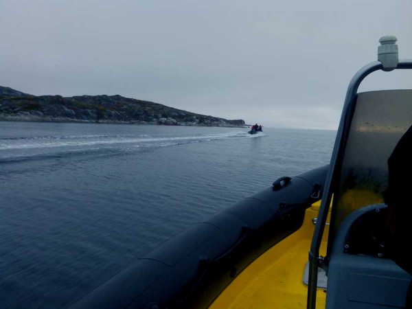 IMG11094.jpg (56.84 КБ) Просмотров: 6486 IMG11094.jpg