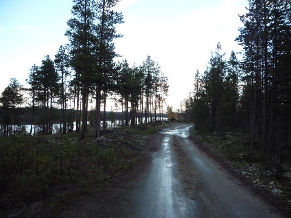 дорога.jpg