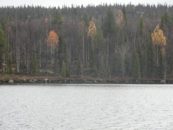 DSC01264.JPG