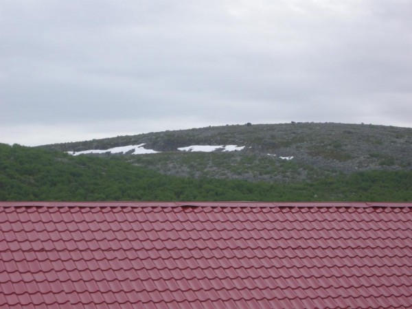 10.JPG