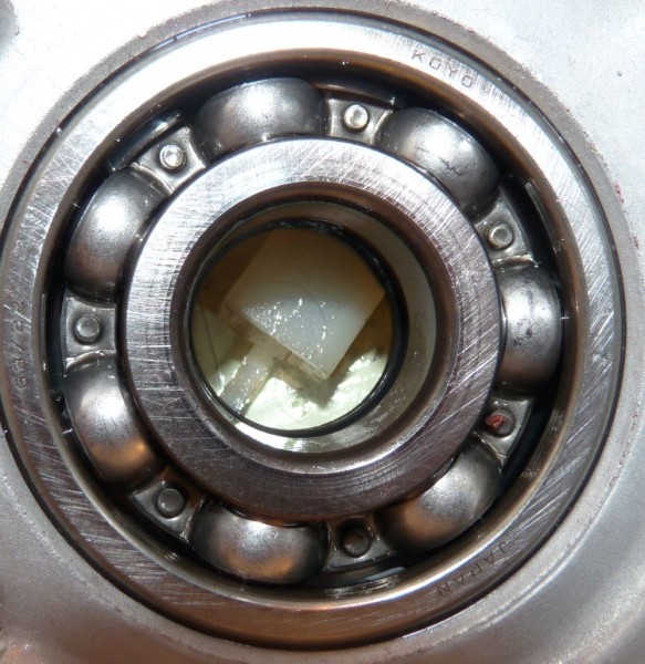 P1090179.JPG