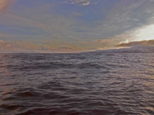 IMG11208.jpg (76.07 КБ) Просмотров: 2519 IMG11208.jpg