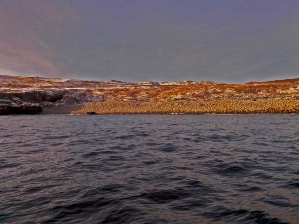 IMG11213.jpg (94.3 КБ) Просмотров: 2495 IMG11213.jpg