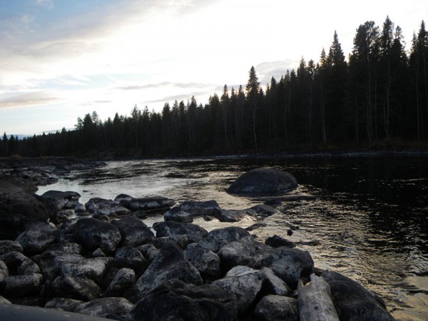 m_IMGP4245.jpg