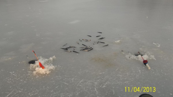 100_2105.jpg