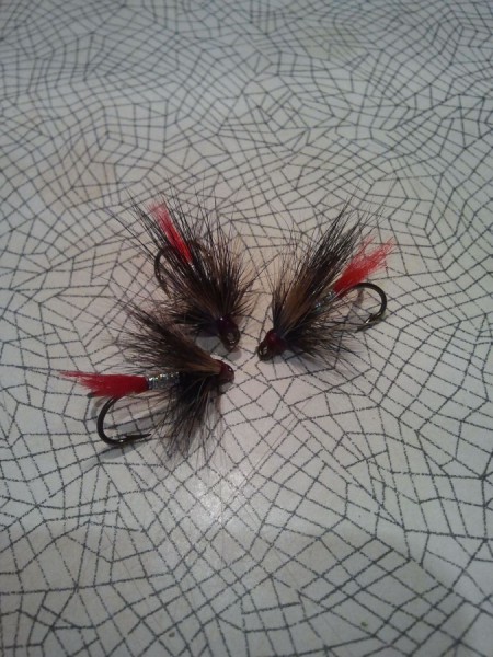 мои мухка1.jpg