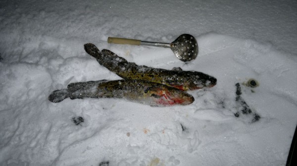 2013-11-07-861.jpg (159.14 КБ) Просмотров: 2353 2013-11-07-861.jpg