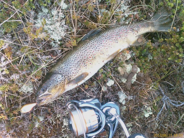 IMAG0110_новый размер.jpg