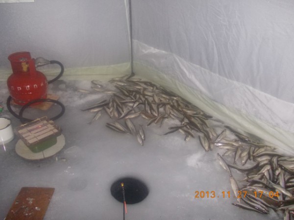 Изображение 019 1.jpg