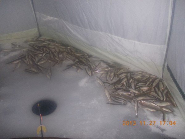 Изображение 020 1.jpg