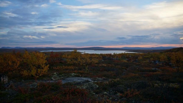 DSC00835.jpg