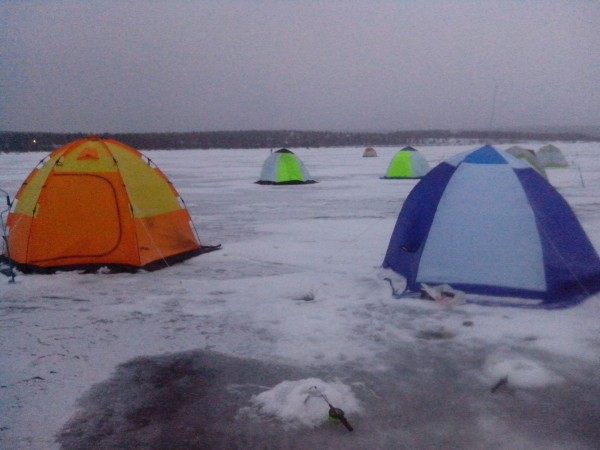 IMG_20131228_124917.jpg