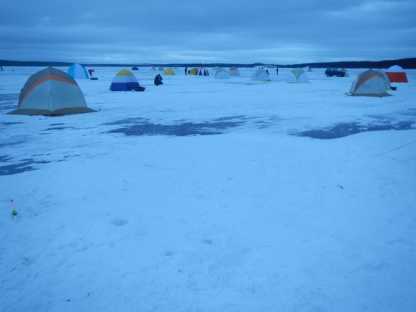 DSCN0268.jpg