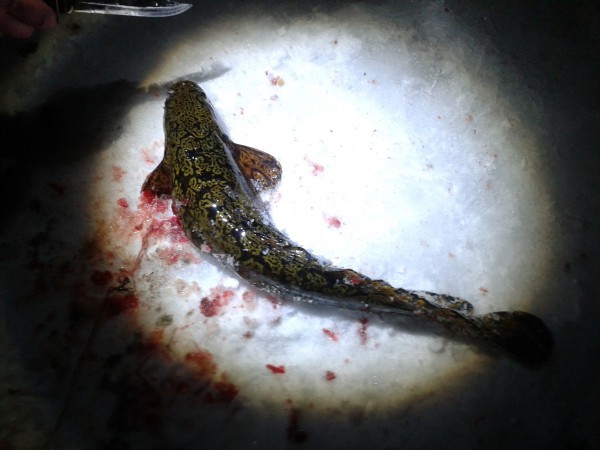 2014-01-07 00.14.59.jpg