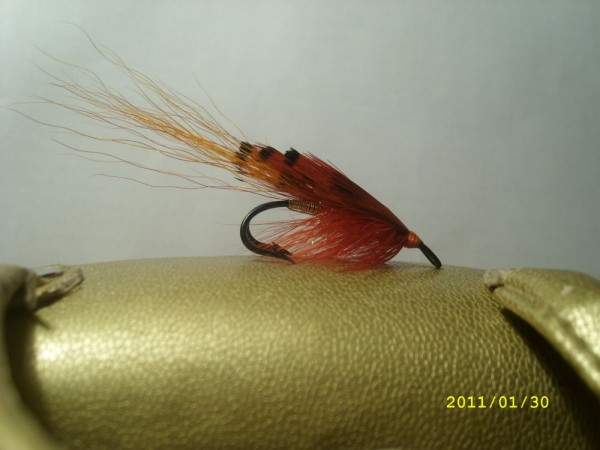 SL277995.JPG