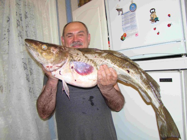 DSC01601-1 копи.jpg