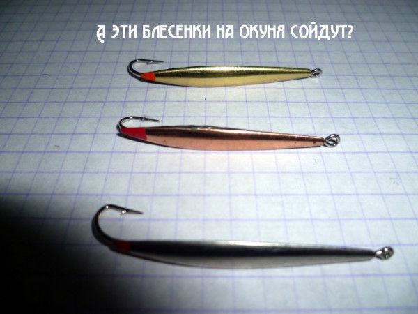 P1020557.JPG