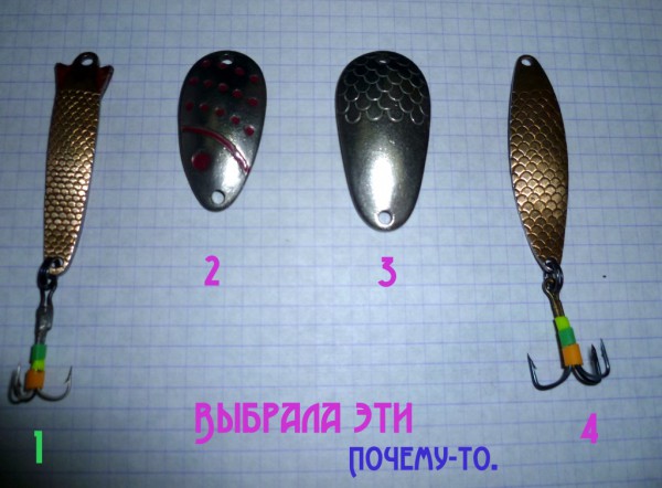 P1020555.JPG