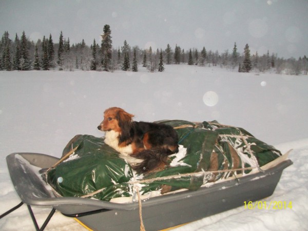 100_2213.JPG