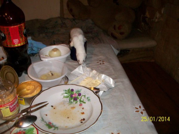 100_2330.JPG