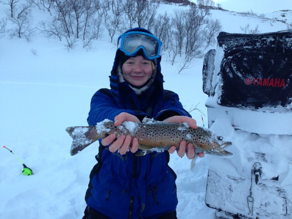 Форум2.jpg (269.61 КБ) Просмотров: 16418 Форум2.jpg