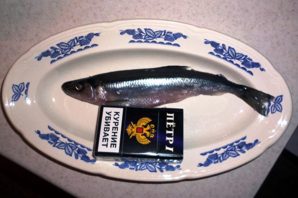 корюшка с dnd.JPG