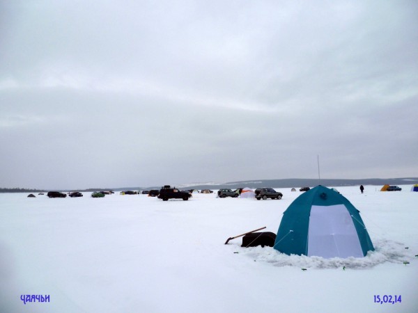 Чаячьи 15 февраля 2014 (1).JPG