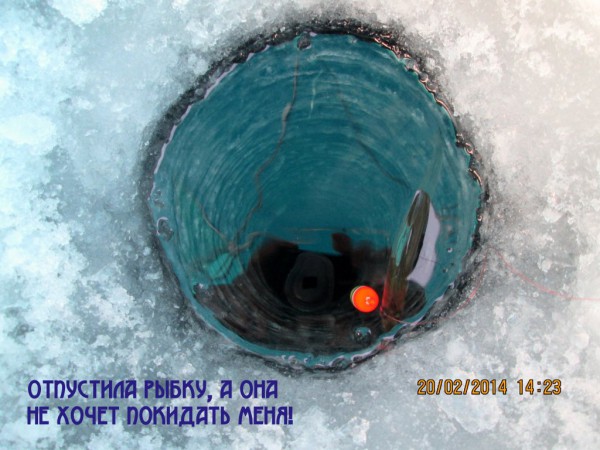 Ягельный бор (1).JPG