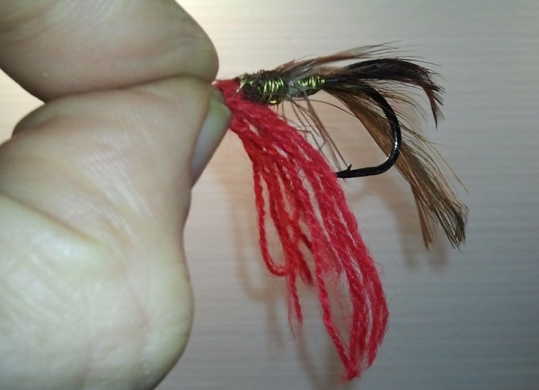 Муха на горбушу.jpg